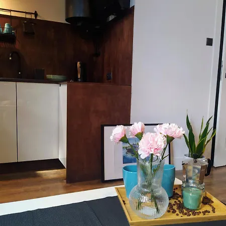 W Centrum Bydgoszczy شقة