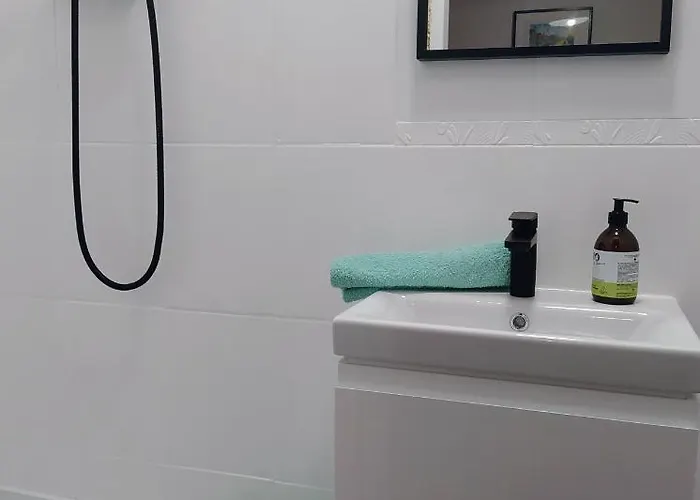 W Centrum Bydgoszczy Апартаменты Быдгощ