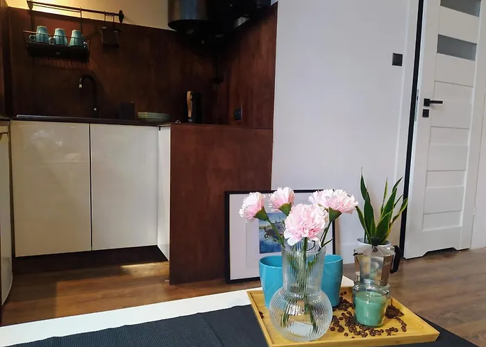 W Centrum Bydgoszczy Апартаменты